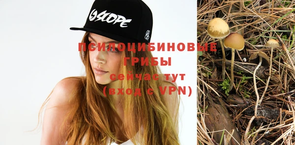 jwh Верея