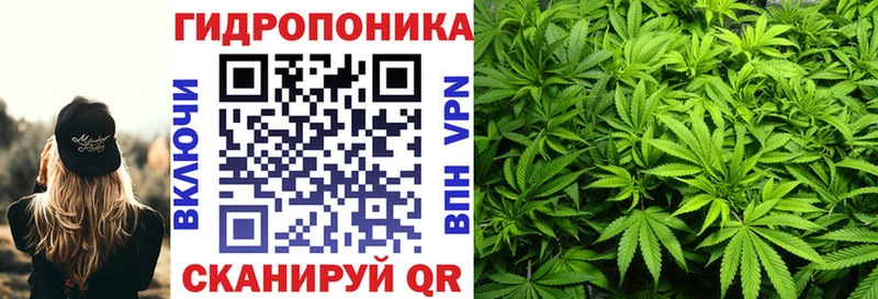 Купить  Чебаркуль  Канабис конопля 